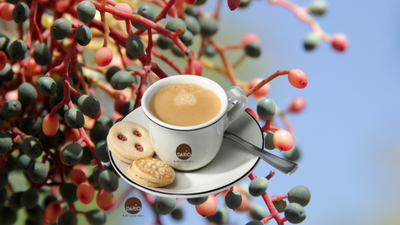 081c4c00-a692-47bc-b4fe-d90b6dad8c53